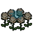 White Rose Patch