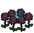 Pink Rose Patch