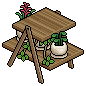 Shelf Plants