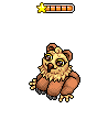 Baby Bear Owl