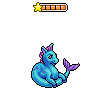 Baby Water Kelpie