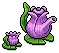 Tulip Teapot