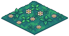 Forest Floor