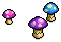Forest Mushrooms