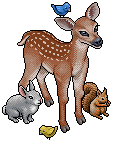 Enchanted Woodland Critters