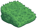 Mountain Slopes