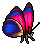 Common Agrias Butterfly