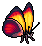 Exceptional Agrias Butterfly