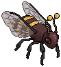 Giganic Bee