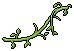 Hanging Vines