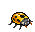 Unique Yellow Ladybug
