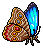 Common Morpho Butterfly