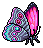 Eclectic Morpho Butterfly