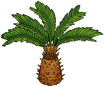 Round Palm