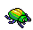 Common Scarab