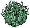 Tall Grass