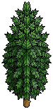 Narrow Tree