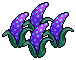 Dark Fruit