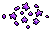 Dark Seeds