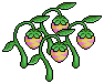 Earth Fruit