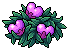 Fairy Fruit