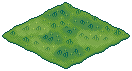 Farm Grass