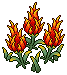 Fire Fruit