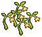 Light Seeds