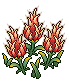 Dazzling Fire Fruit