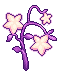 Dazzling Light Fruit