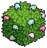 Painted Egg Bush
