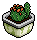 Potted Cactus 1