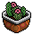 Potted Cactus 2
