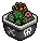 Potted Cactus 3