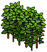 Bush Divider