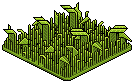 Grass Patch