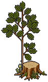 Tree Stool 2