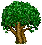 Friendship Tree