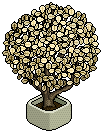 Office Plant