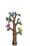 Exotic Birds