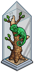 Chameleon