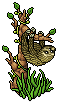 Sloth