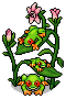 Tree Frog