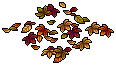 Autumn Fallen Leaves