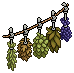 Drying Herbs