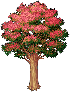 Bright Transitional Tree