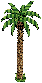 Festival Palm Tree