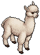 Grace the Alpaca