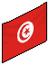 The Tunisian Flag
