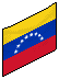 The Venezuelan Flag